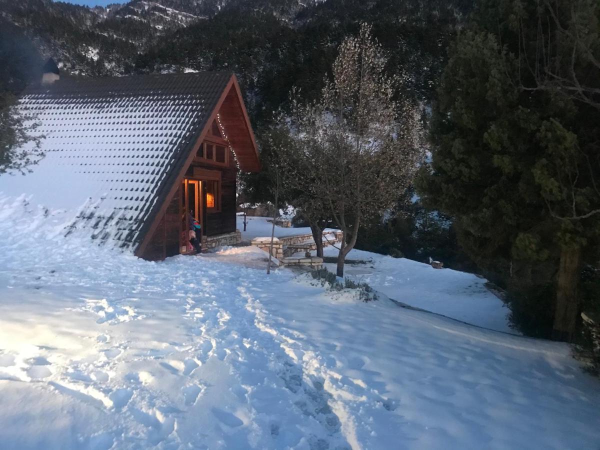 Chalet In The Forest Kalavryta Exterior photo