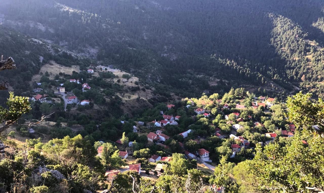 Chalet In The Forest Kalavryta Exterior photo