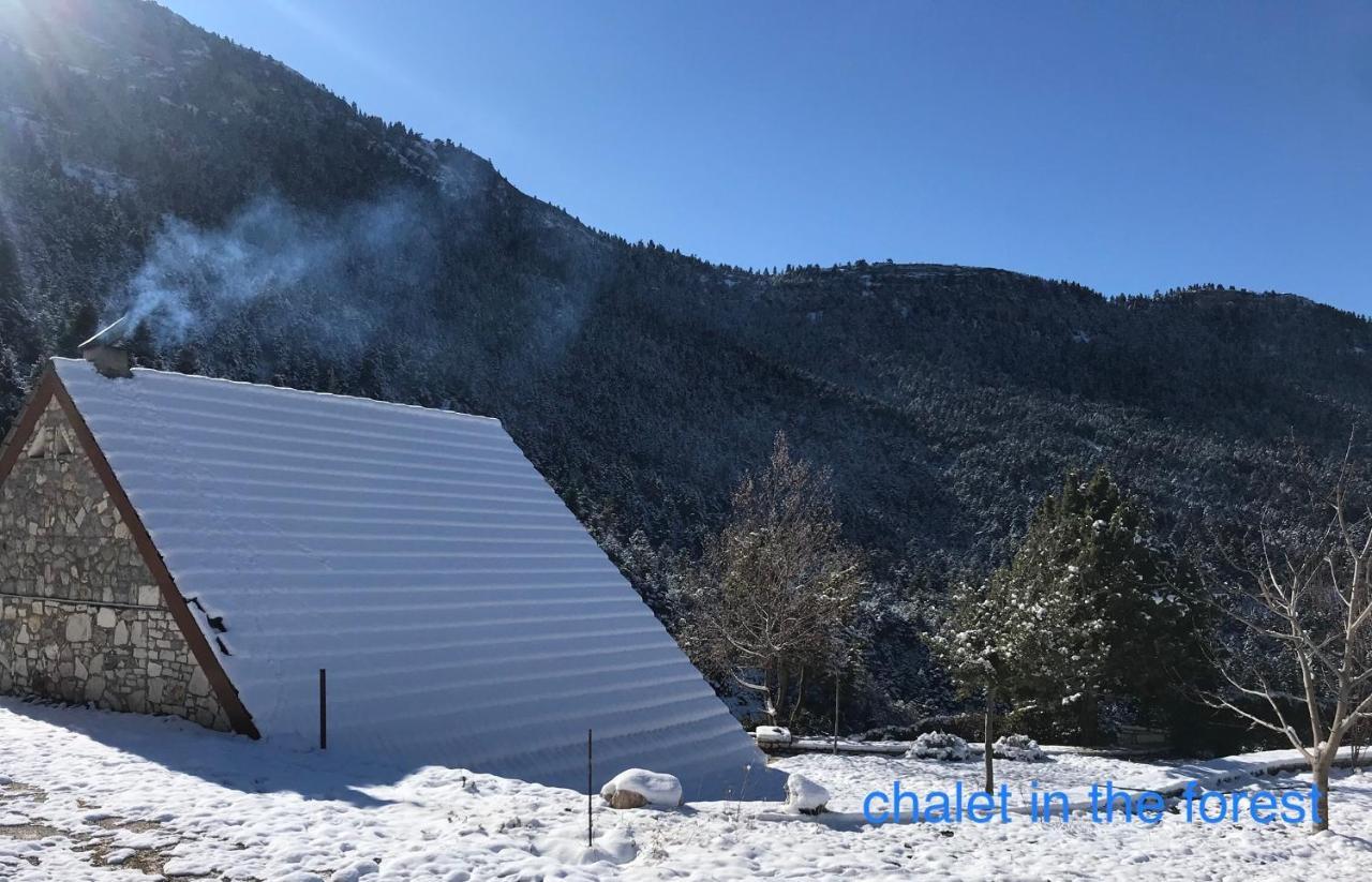 Chalet In The Forest Kalavryta Exterior photo