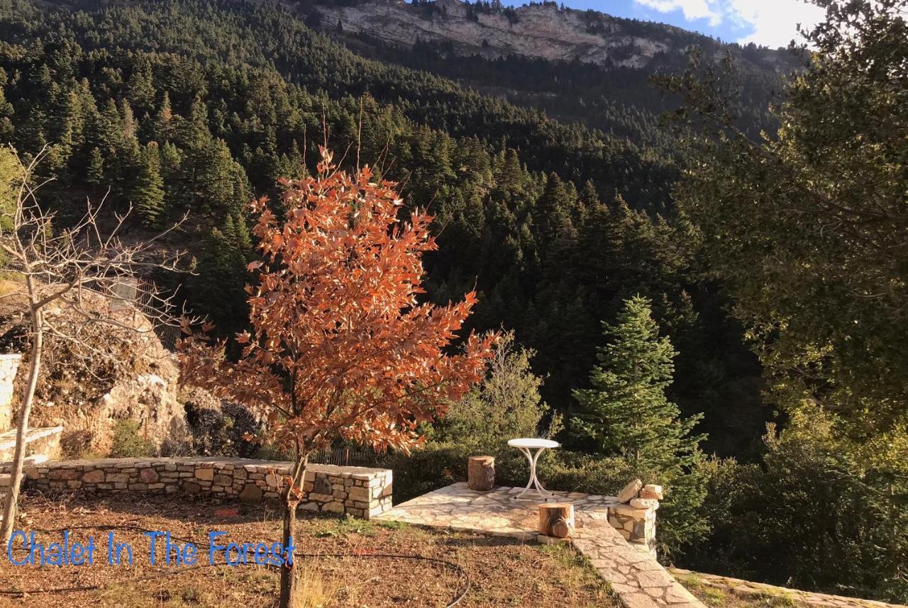 Chalet In The Forest Kalavryta Exterior photo