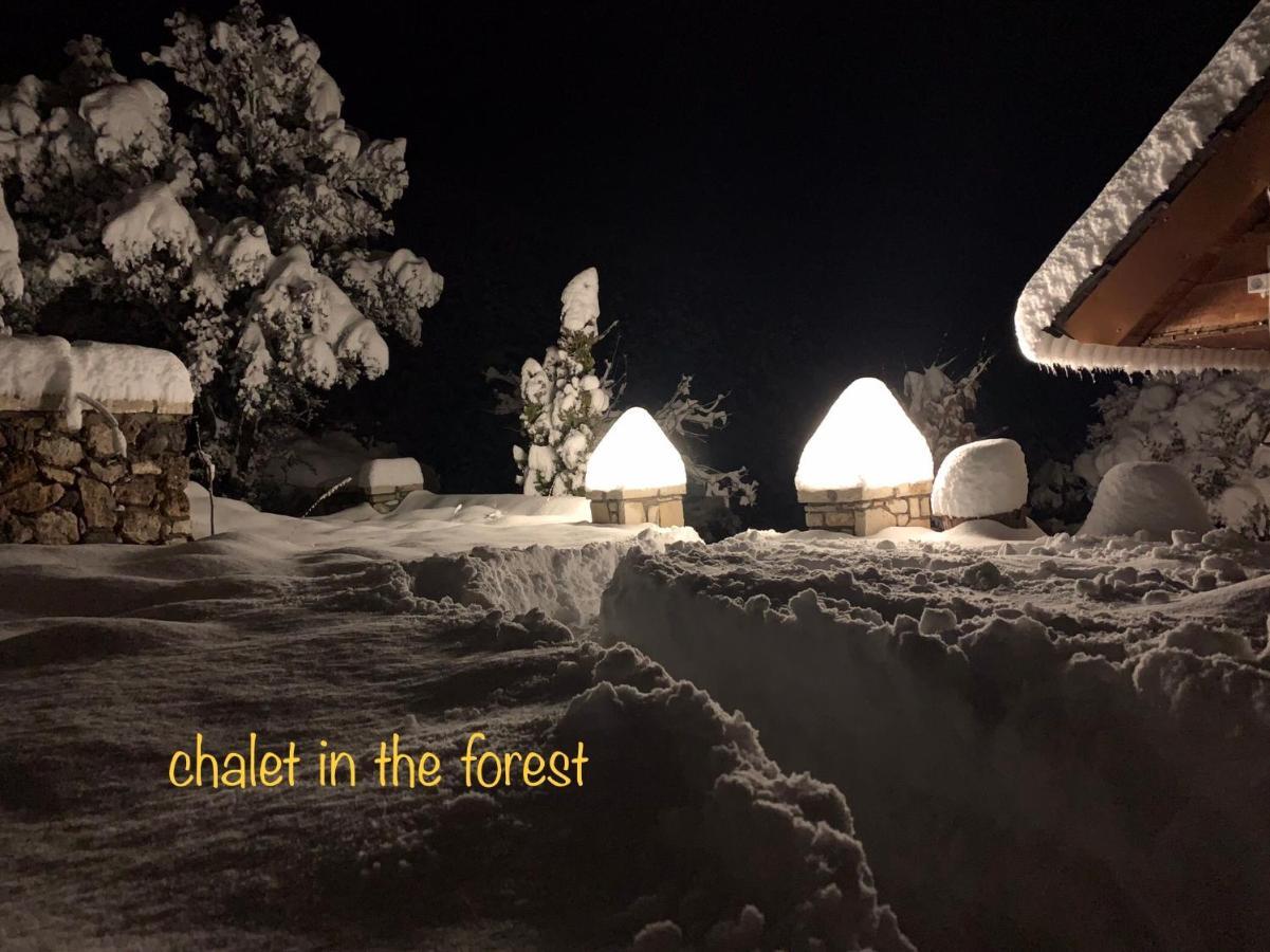 Chalet In The Forest Kalavryta Exterior photo