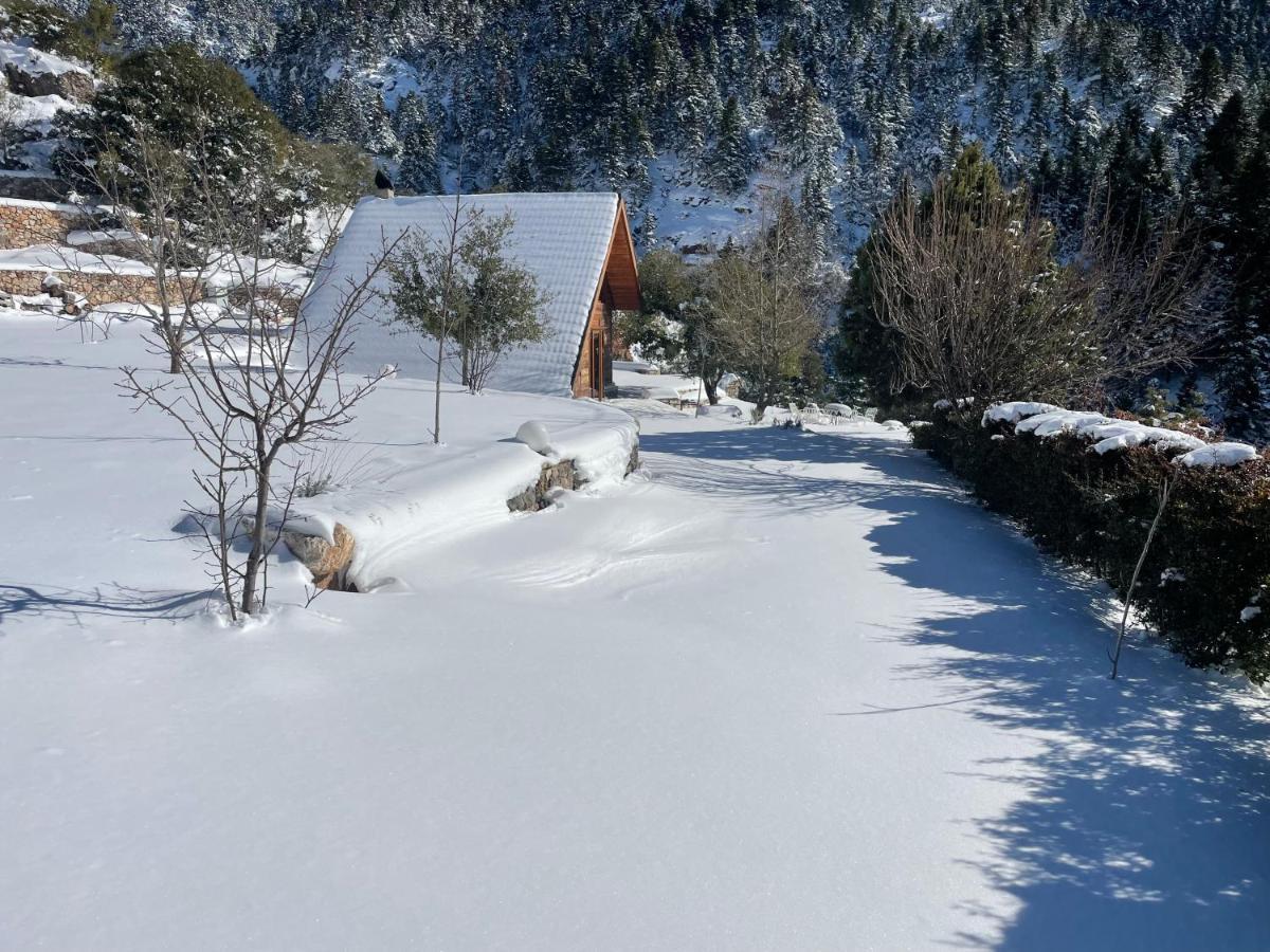 Chalet In The Forest Kalavryta Exterior photo