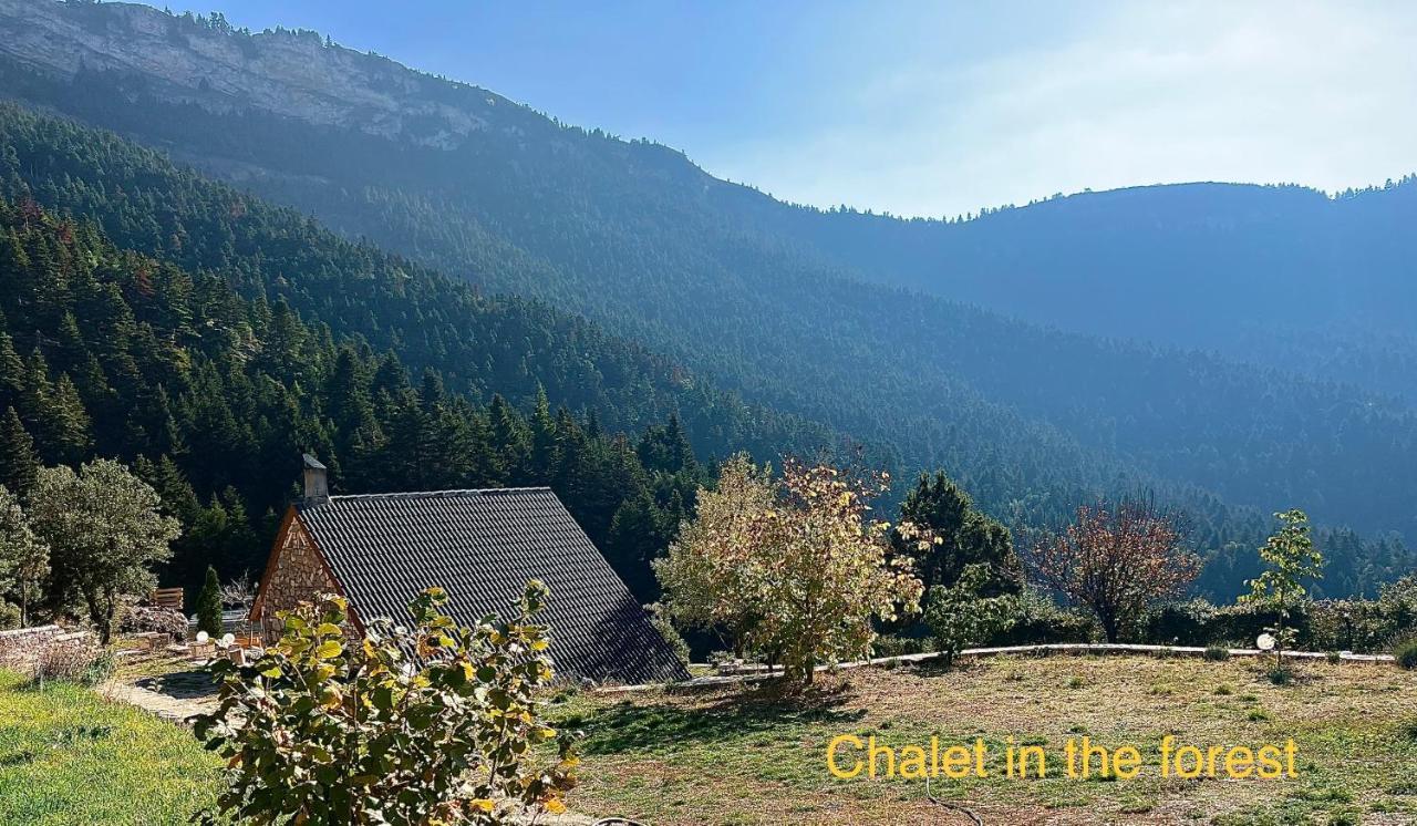 Chalet In The Forest Kalavryta Exterior photo
