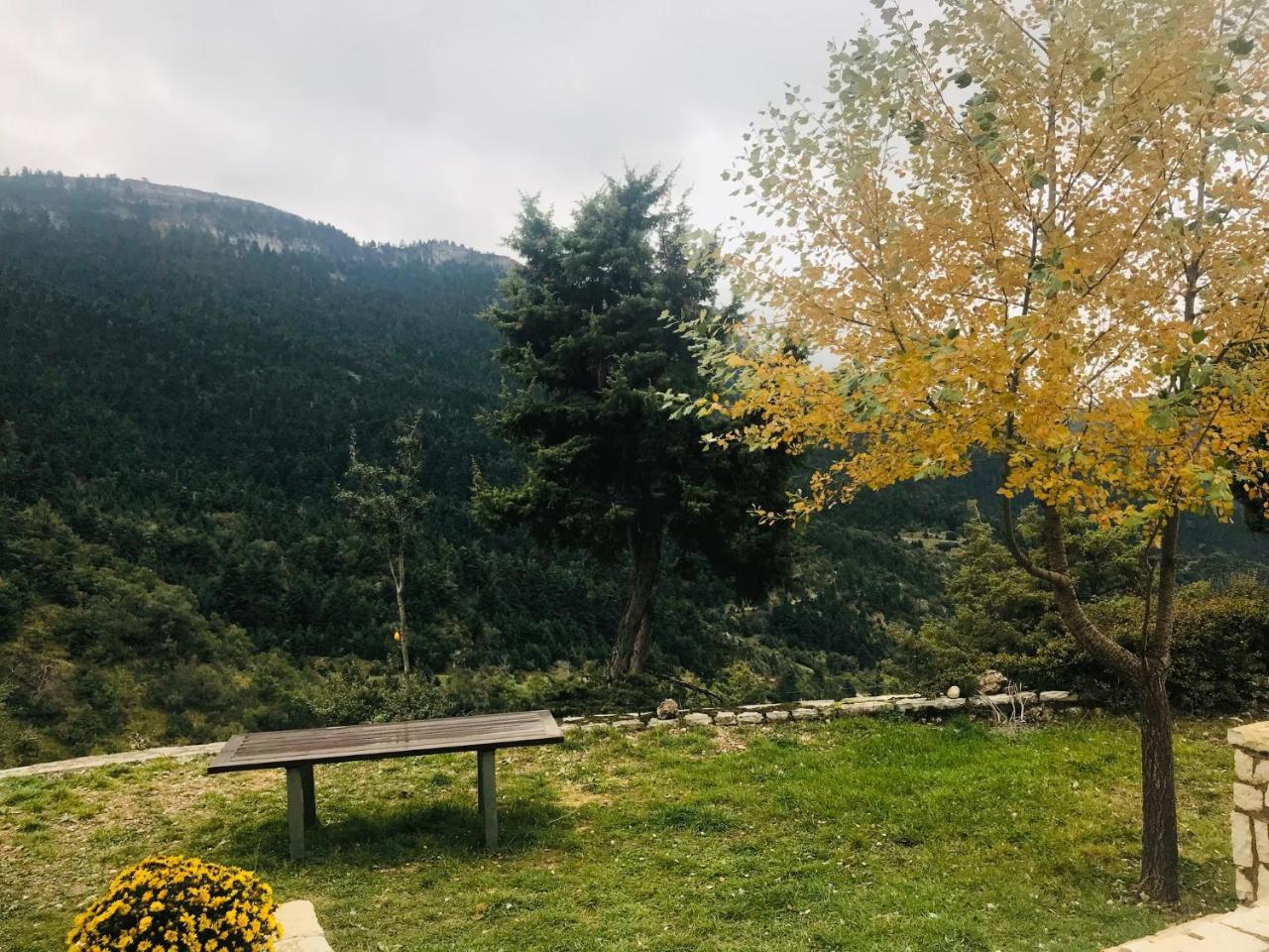 Chalet In The Forest Kalavryta Exterior photo