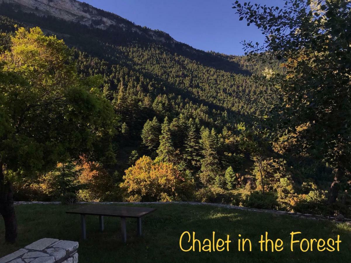 Chalet In The Forest Kalavryta Exterior photo