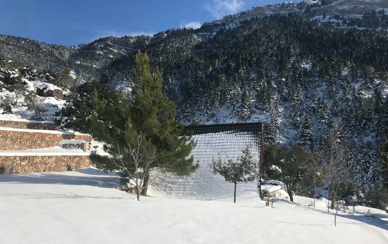 Chalet In The Forest Kalavryta Exterior photo