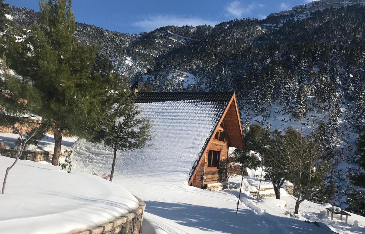 Chalet In The Forest Kalavryta Exterior photo