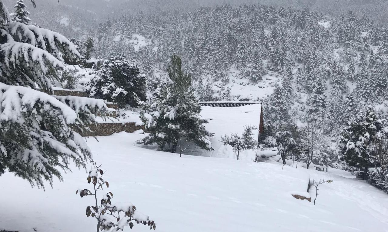 Chalet In The Forest Kalavryta Exterior photo