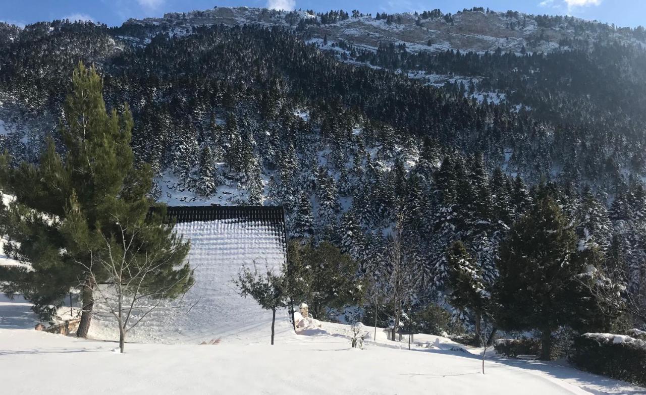 Chalet In The Forest Kalavryta Exterior photo