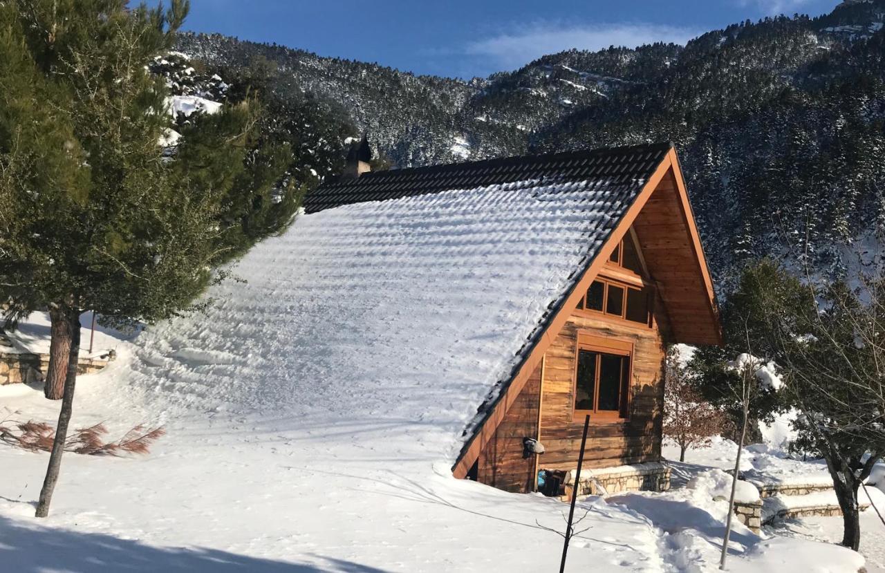 Chalet In The Forest Kalavryta Exterior photo