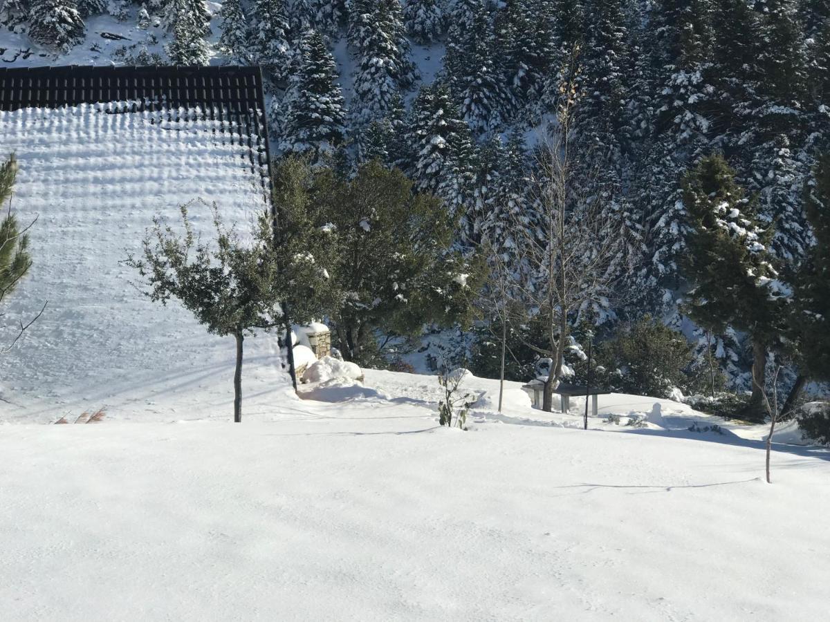 Chalet In The Forest Kalavryta Exterior photo
